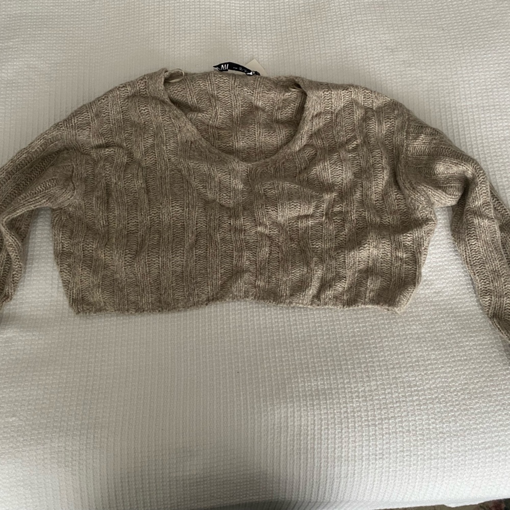 Zara crop top
